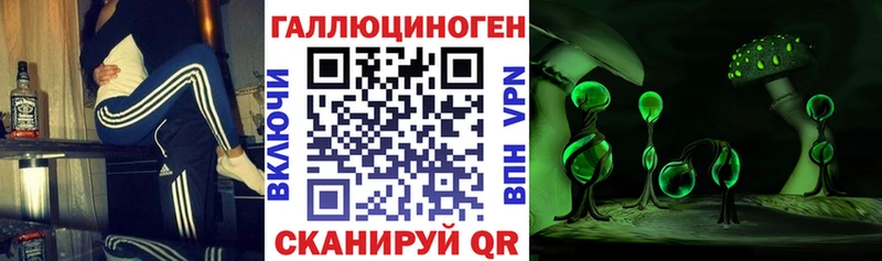 MEGA ССЫЛКА хочу Сыктывкар Галлюциногенные грибы Psilocybe